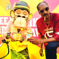 Асортимент морозива Snoop Dogg