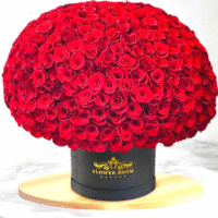 Forever Roses - вічні квіти