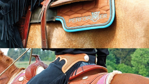 Вибір saddle pads для коней