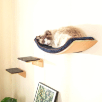 Котячі полички для домашніх котів