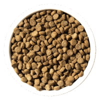 Сухі корми для котів