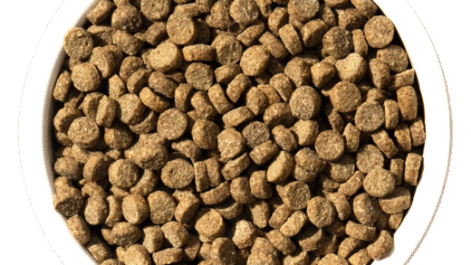 Сухі корми для котів