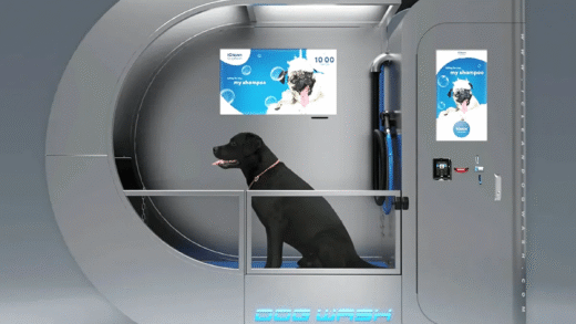 Вибір dog washer для миття собак