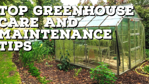 Догляд за рослинами в теплиці