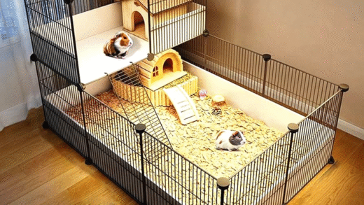 Клітка для морських свинок з аксесуарами