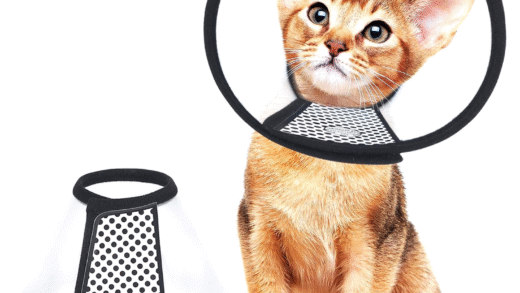 Конуси для котів на відновлення