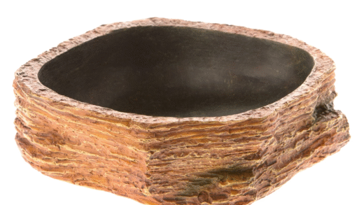 Безпечні миски для рептилій та амфібій