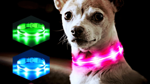 Світлові нашийники для собак на прогулянці