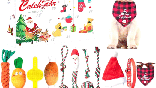 Адвент-календар для собак на святковому фоні