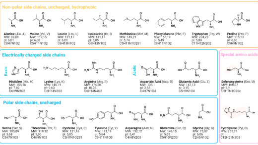Амінокислоти для здоров'я
