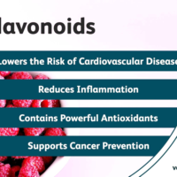 Флавоноїди в продуктах харчування