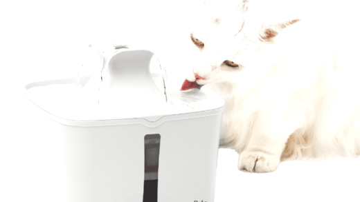 Фонтани для котів і собак