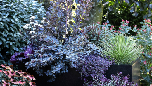 Готичний сад з темними рослинами та декором