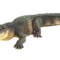 Іграшки алігатора для дітей