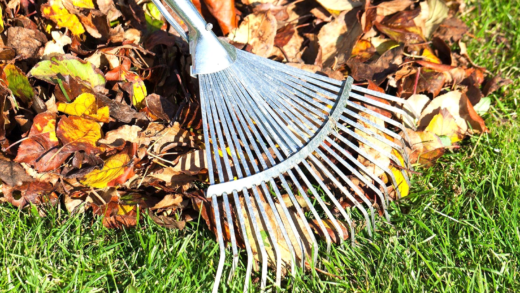 Група інструментів для прибирання листя