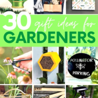 Подарунки для садівників: інструменти та аксесуари