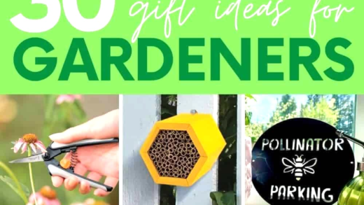 Подарунки для садівників: інструменти та аксесуари