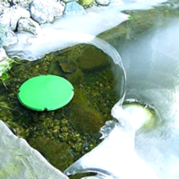 Види pond de icers для ставків