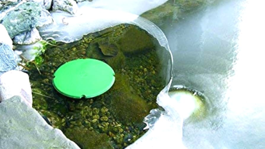 Види pond de icers для ставків