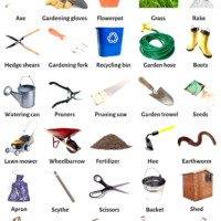 Набір садових інструментів