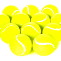 Тенісні м'ячі для тренувань і змагань